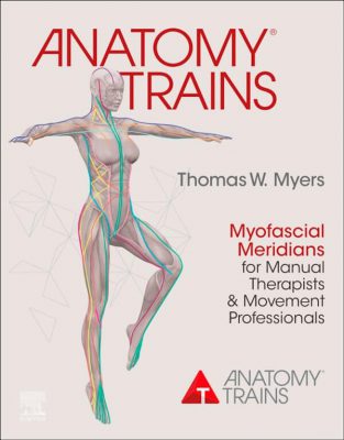 Anatomy Trains 03