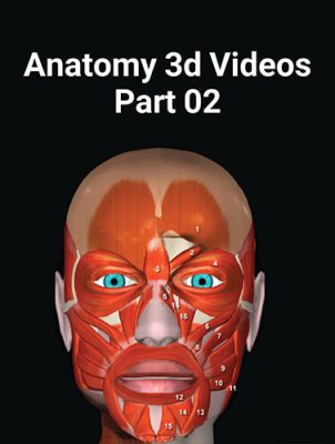 anatomy 3d videos part 02 1