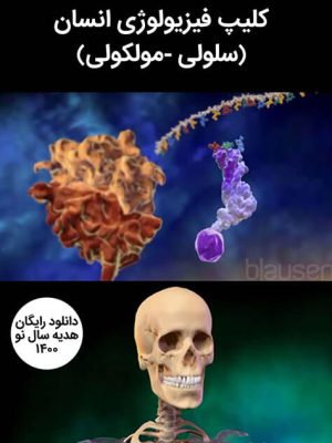 فیزیولوژی انسان (بخش سلولی – مولکولی) (کلیپ)