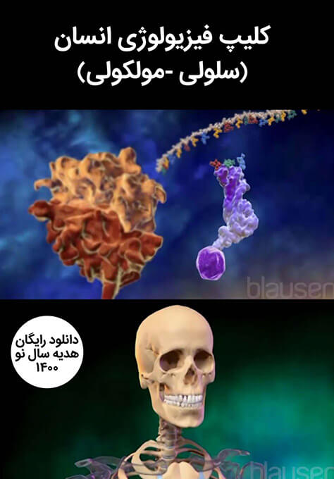 فیزیولوژی انسان (بخش سلولی – مولکولی) (کلیپ)