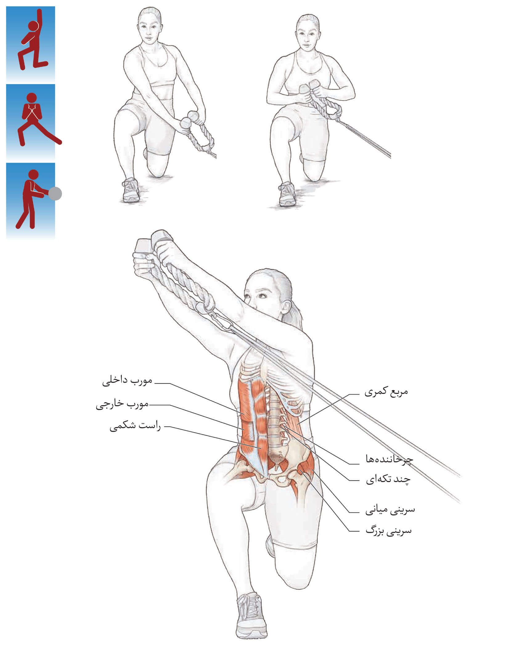 تمرینات ضد عضلات مرکزی | تمرینات مرکزی