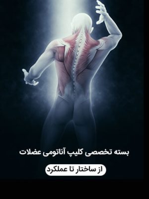 بسته تخصصی کلیپ آناتومی عضلات